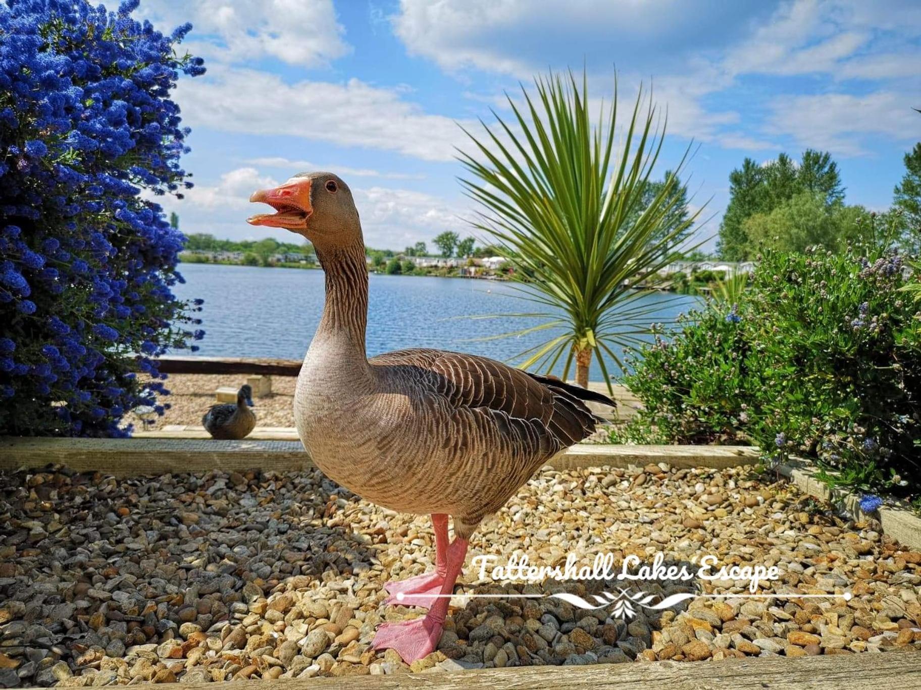 Meridian Tattershall Lakes Escape - Lakeside Lodge Caravan With A Fishing Peg Luxury Hot Tub Exterior foto